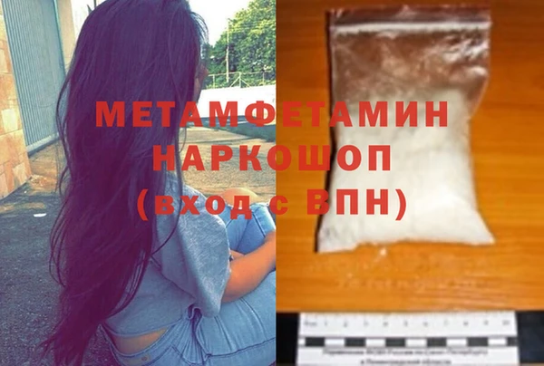 прущие грибы Мегион