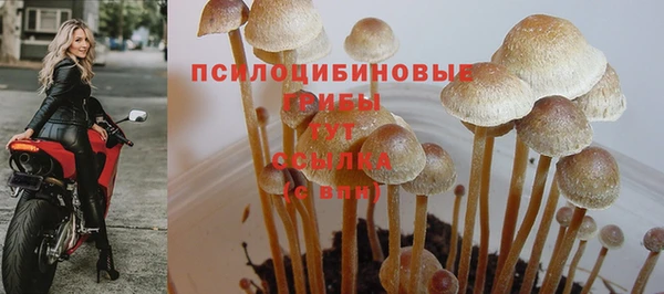 марихуана Ахтубинск