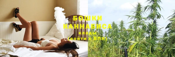 прущие грибы Мегион